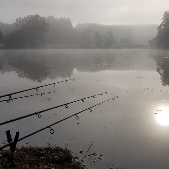 Riedererweiher (Penzberg)-1