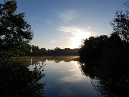 Oberndorfer Weiher (Haimhausen)-2