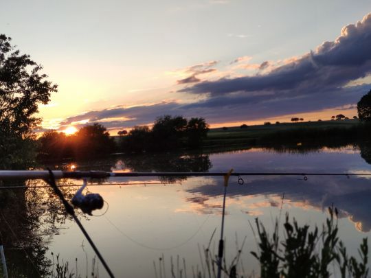 Oberndorfer Weiher (Haimhausen)-1