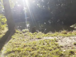 Rieth (Schkortleben)-2