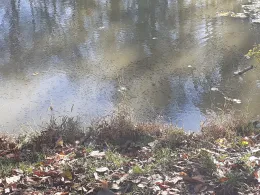 Rieth (Schkortleben)-1