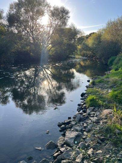 Werre (Bad Oeynhausen)-4