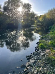 Werre (Bad Oeynhausen)-4