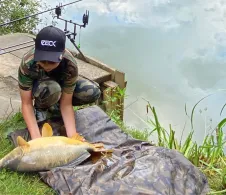 Werre (Bad Oeynhausen)