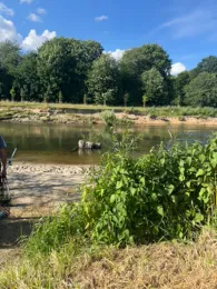 Werre (Bad Oeynhausen)-2