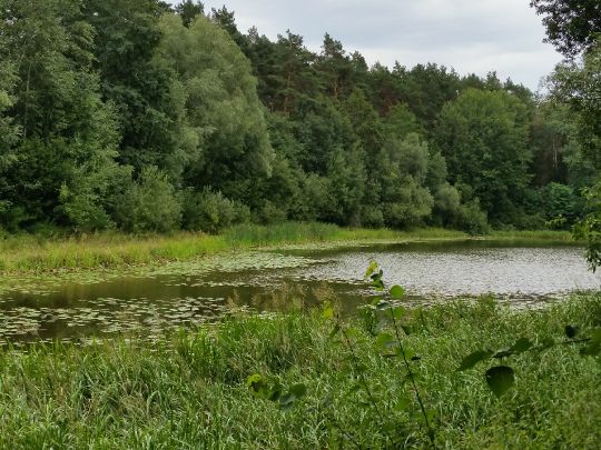 Teufelssee (Dannenberg)