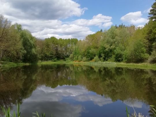 Teufelssee (Dannenberg)-1