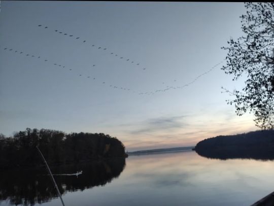 Krumme Lanke (Rangsdorf)-4
