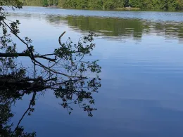 Krumme Lanke (Rangsdorf)-2