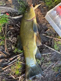 Schloßsee Wrangelsburg-1