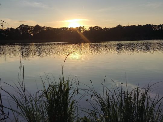 Schloßsee Wrangelsburg-3