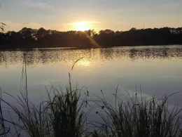 Schloßsee Wrangelsburg-3