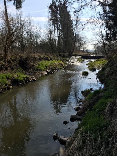 Große Vils (Vilsbiburg)-2