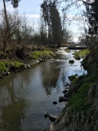 Große Vils (Vilsbiburg)-2