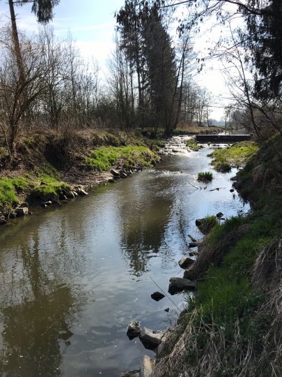 Große Vils (Vilsbiburg)-0
