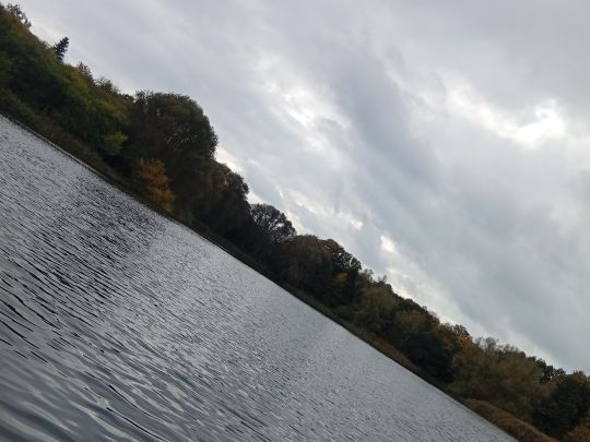 Karpfenteich (Groß Stieten)-3