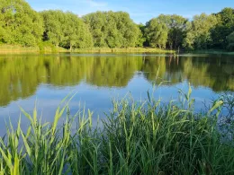 Karpfenteich (Groß Stieten)-1