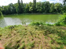 Altmain Sand am Main-2