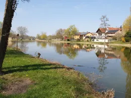 Altmain Sand am Main-1