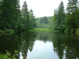 Krebsbachteich (Mägdesprung)