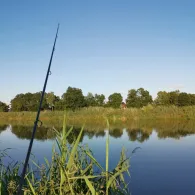 Regnitz (Baiersdorf)-1