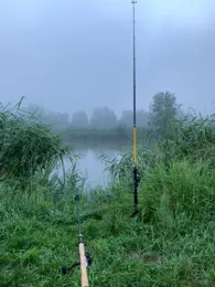 Regnitz (Baiersdorf)-2