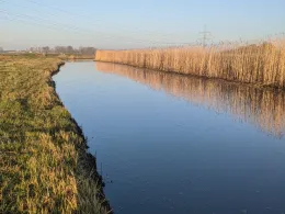 Oberer Ryck (Petershagen - Greifswald)-1