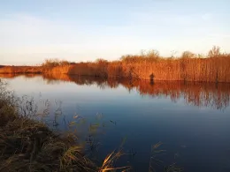 Oberer Ryck (Petershagen - Greifswald)