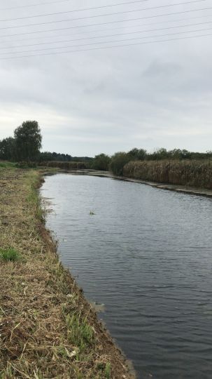 Oberer Ryck (Petershagen - Greifswald)-3