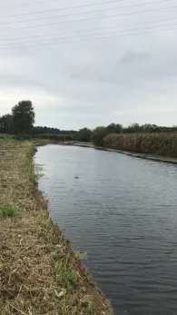 Oberer Ryck (Petershagen - Greifswald)-3