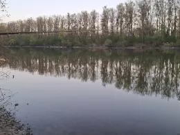 Rußheimer Altrhein-3