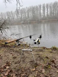 Rußheimer Altrhein-2