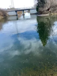 Illerkanal (Kirchdorf/Iller)-3