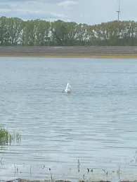 Stausee Vippachedelhausen-4