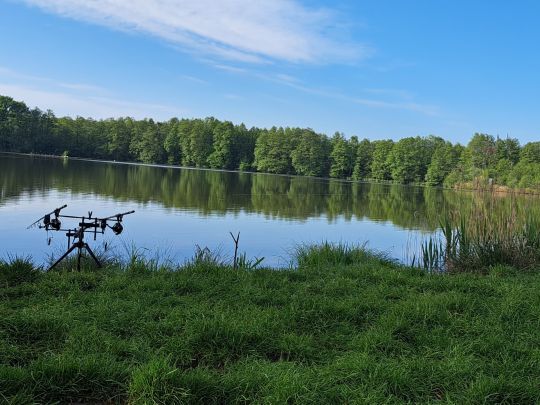 Alter Teich (Weißig)-4