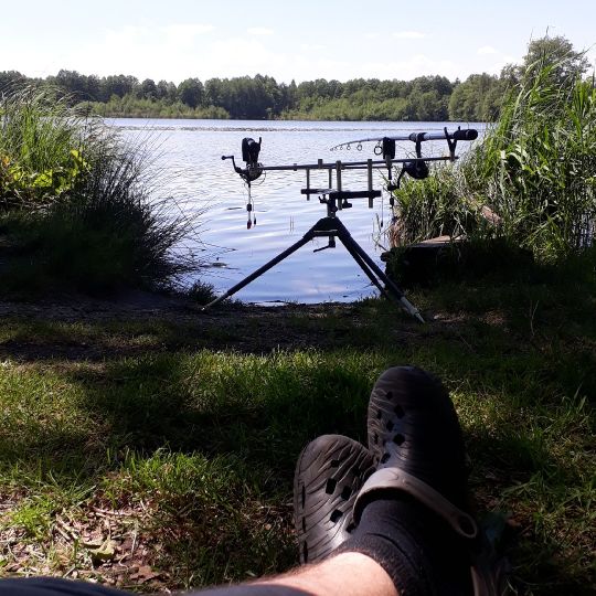 Alter Teich (Weißig)