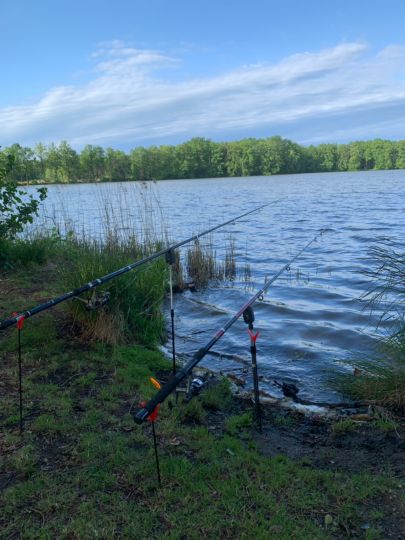 Alter Teich (Weißig)-3