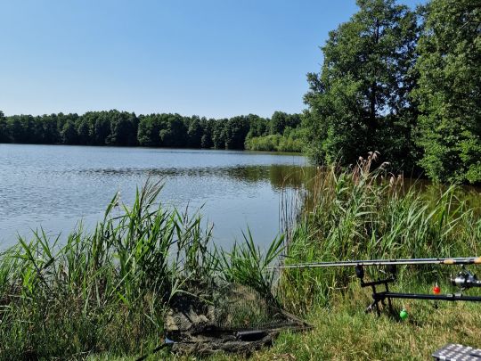 Alter Teich (Weißig)-2