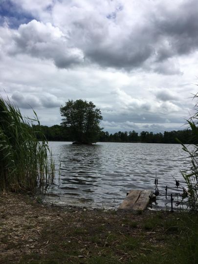 Alter Teich (Weißig)-1