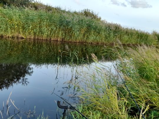 Nahe (Staudernheim)-1