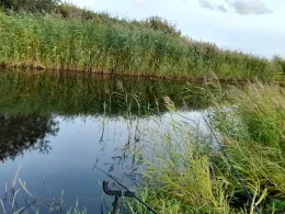 Nahe (Staudernheim)-1