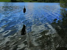 Talsperre Driedorf-1