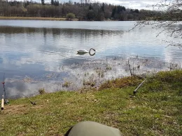 Talsperre Driedorf-2