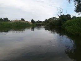 Schwarze Elster (Jessen/Elster)