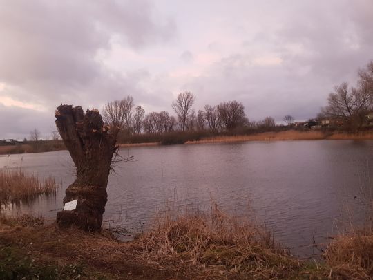 Koppelteich Hinterwendorf-2