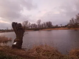 Koppelteich Hinterwendorf-2