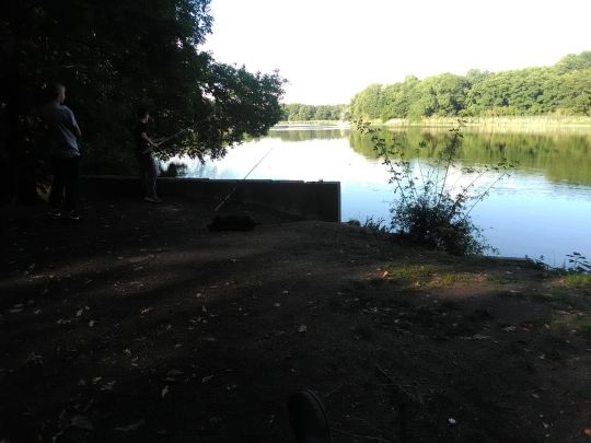 Mühlteich (Dieskau)-2