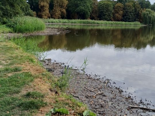 Mühlteich (Dieskau)-3