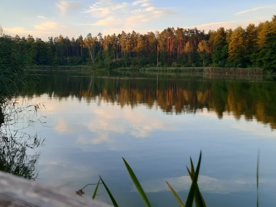 See der Freundschaft (Königsbrück)-2