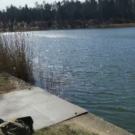 See der Freundschaft (Königsbrück)-3